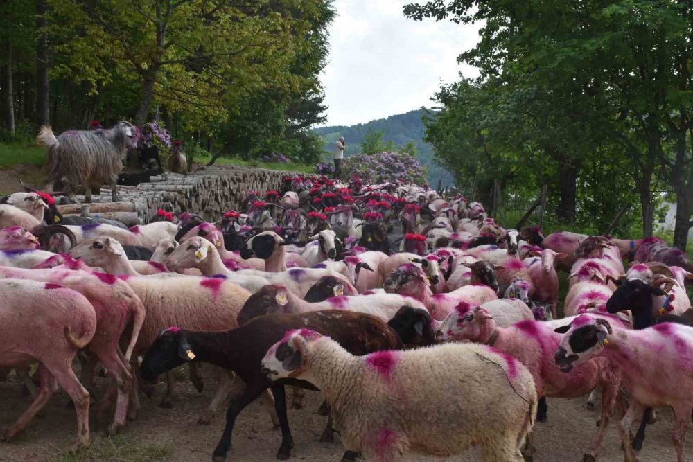 116 yıldır devam eden gelenek