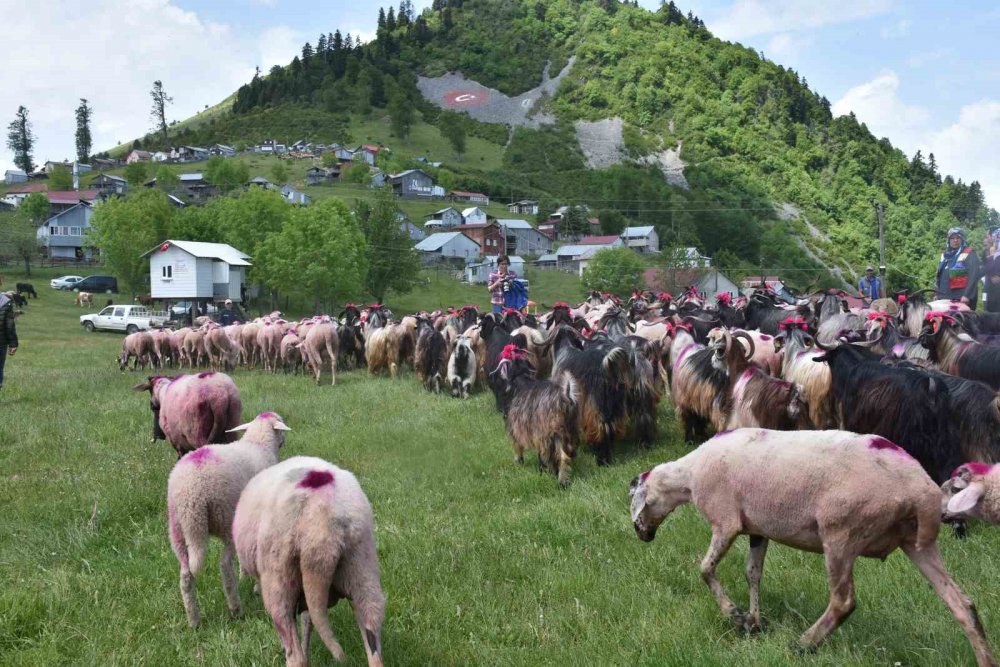 116 yıldır devam eden gelenek