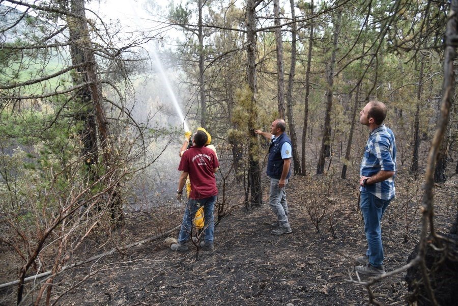Orman yangınlarının çoğu yıldırım kaynaklı