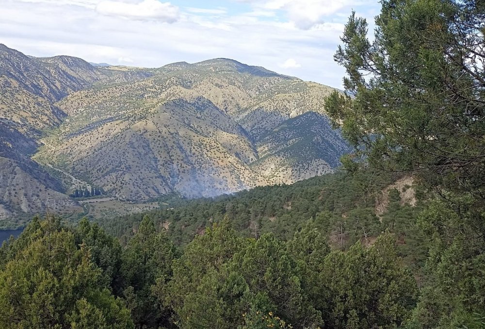 Orman yangınlarının çoğu yıldırım kaynaklı