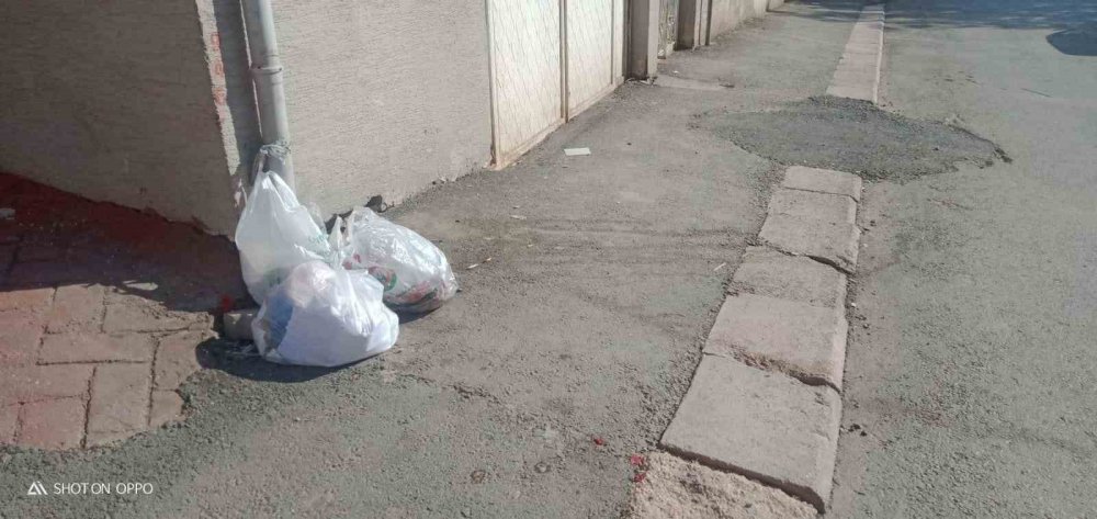 Vatandaşlar çöp konteynırı olmamasından yakındı
