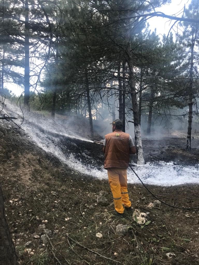 Bademlik tepesinde çıkan yangın söndürüldü