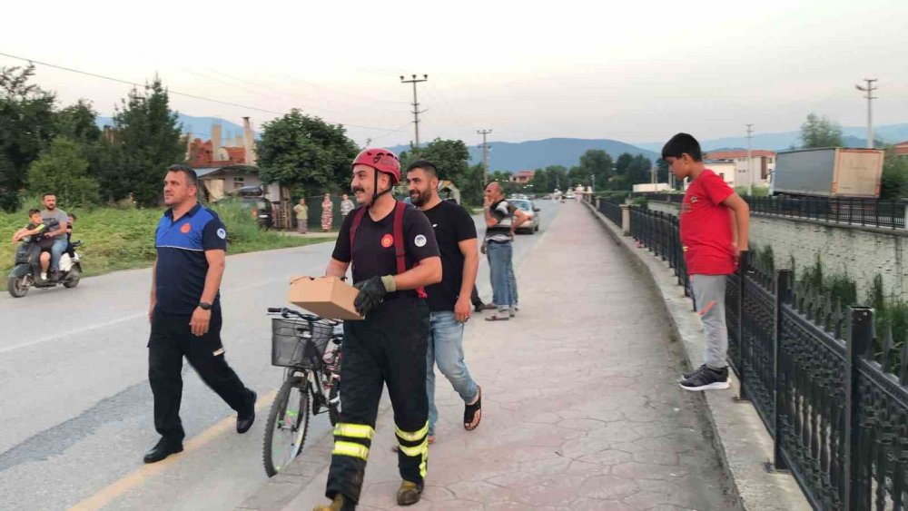 Kanala düşen yavru karganın imdadına yetiştiler