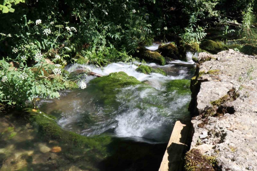 Sakarya’nın saklı kalmış doğa harikası