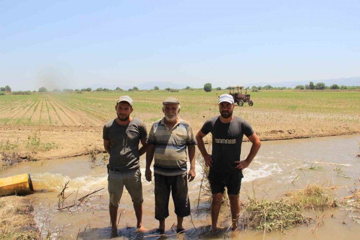 Aydın Ovası’nda çiftçilerin 44 derece sıcakta ekmek mücadelesi
