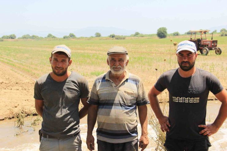 Aydın Ovası’nda çiftçilerin 44 derece sıcakta ekmek mücadelesi