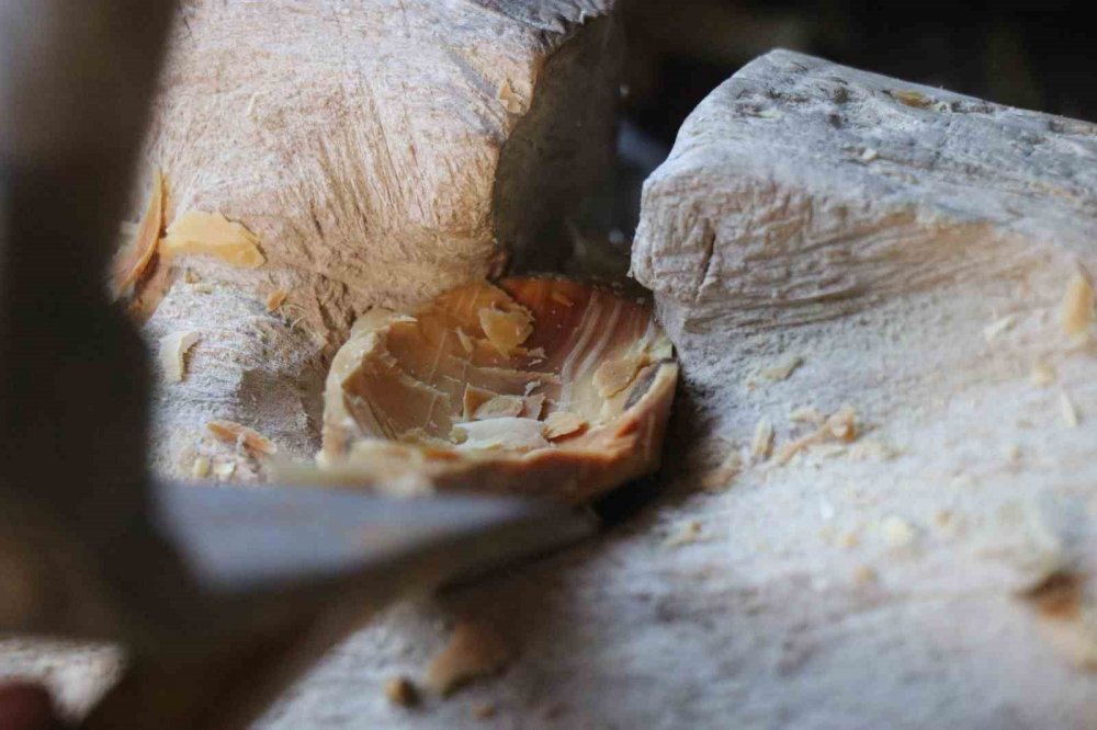 Zamanın Gözde Mesleğiydi, Teknolojiye Yenildi