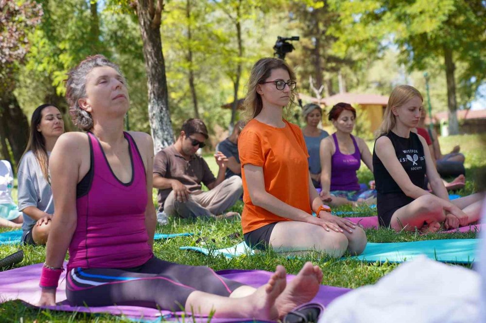 Tabiat İçinde Yoga Ve Sağlıklı Beslenme Kampı