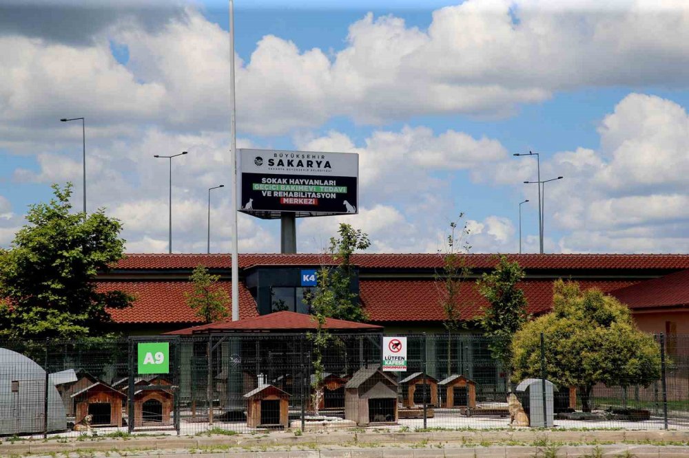 Yüzlerce Can Dostu Şifa Buluyor