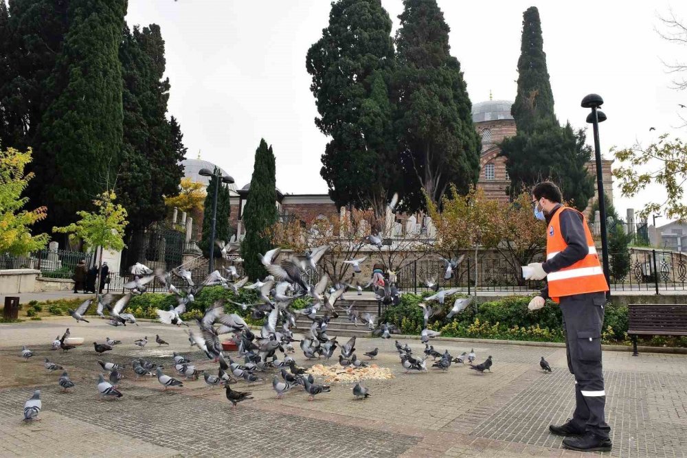 Sokak Hayvanlarının Yanındalar
