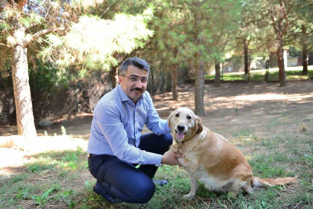 Sokak Hayvanlarının Yanındalar