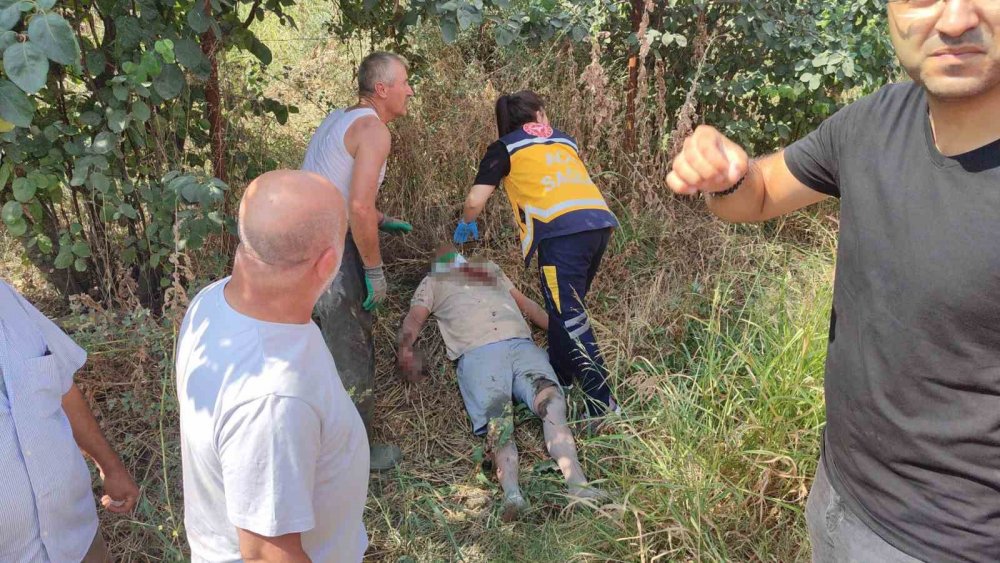 Ağır Tonajlı Araçlar Çarpıştı: 2 Yaralı