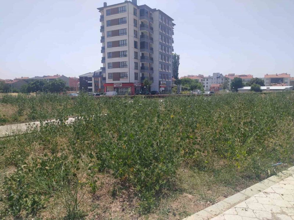 Bu Parkın Yapımı Neden Yarım Bırakıldı?