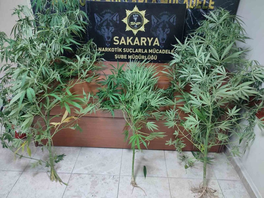 Polisten Uyuşturucu Operasyonu
