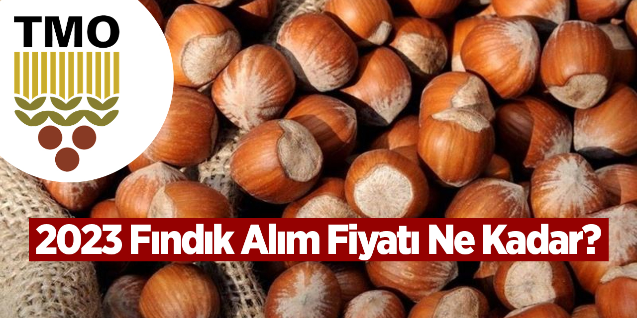 2023-findik-alim-fiyati-ne-kadar.jpg