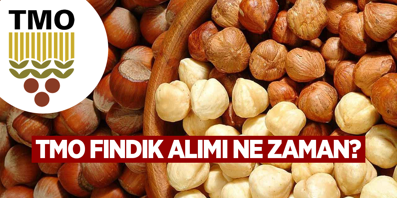 tmo-findik-alimi-ne-zaman.jpg