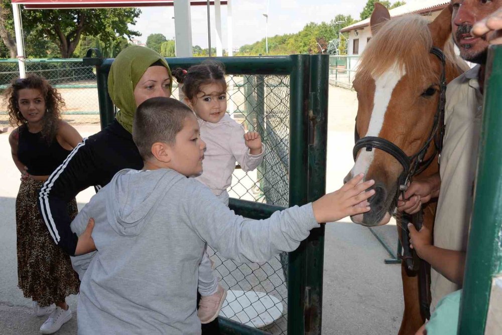 Bozüyük Belediyesi’nin Ücretsiz Eskişehir Gezisinde Harika Bir Gün Geçirdiler