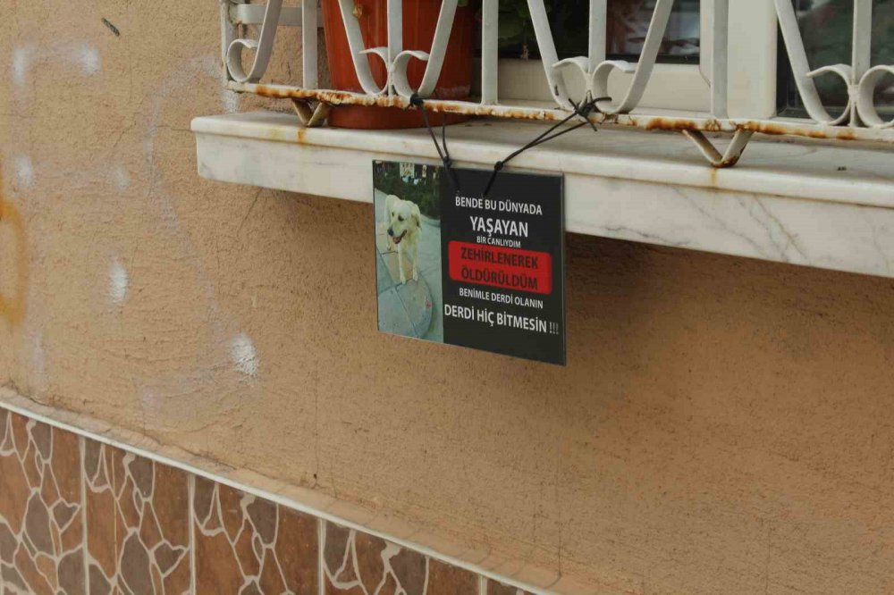 Zehirlenerek Öldürüldü