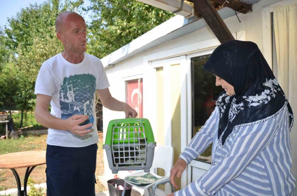 Kısırlaştırma yapanlara belediyeden mama desteği