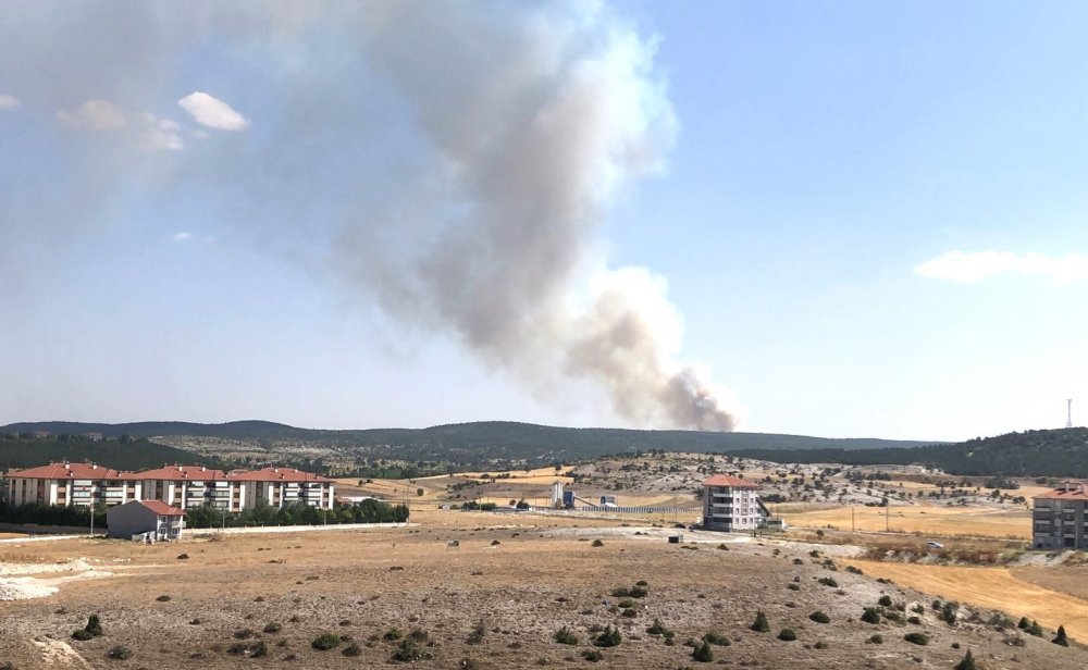 10 Hektar alan kül oldu