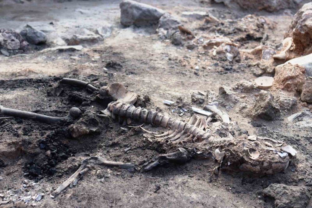 Tavşanlı Höyük Kazılarında 3 Bin 700 Yıllık İnsan Beyni Ve Deri Kalıntıları Çıktı
