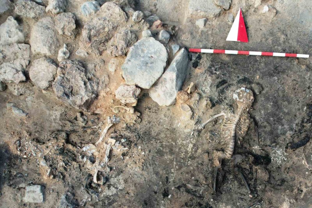 Tavşanlı Höyük Kazılarında 3 Bin 700 Yıllık İnsan Beyni Ve Deri Kalıntıları Çıktı
