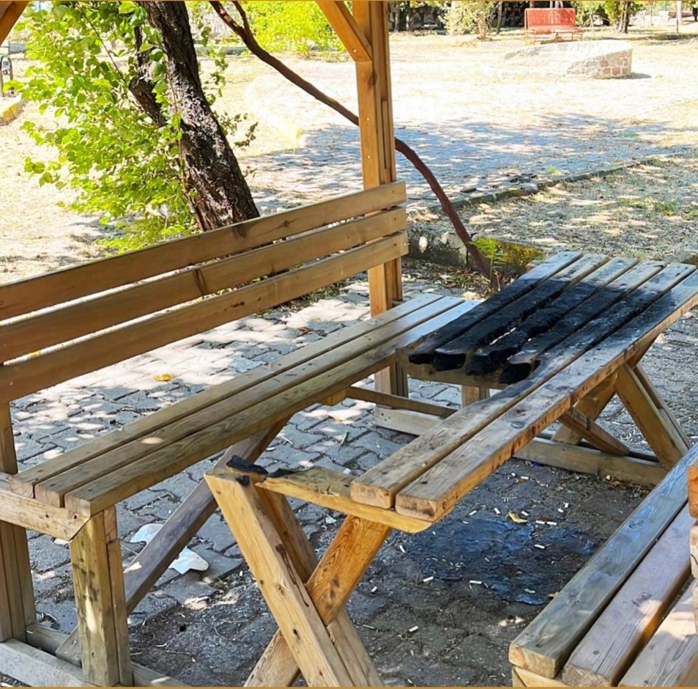 Kamelyalara Zarar Veren Kişi Veya Kişiler Tepki