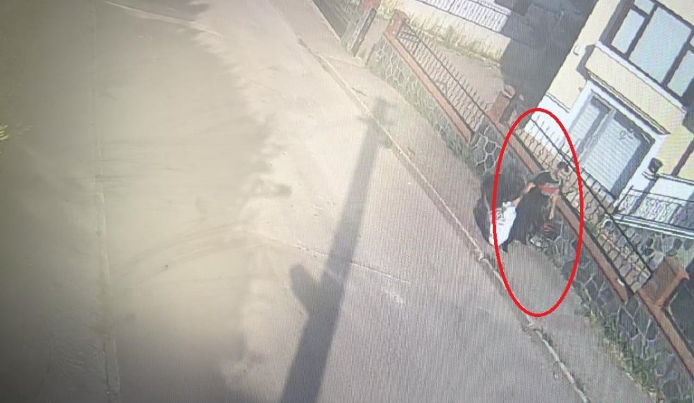 Önce Köpekle Oynadı, Sonra Böyle Soygun Yaptı...tatilde Paraları Yerken Yakalandı