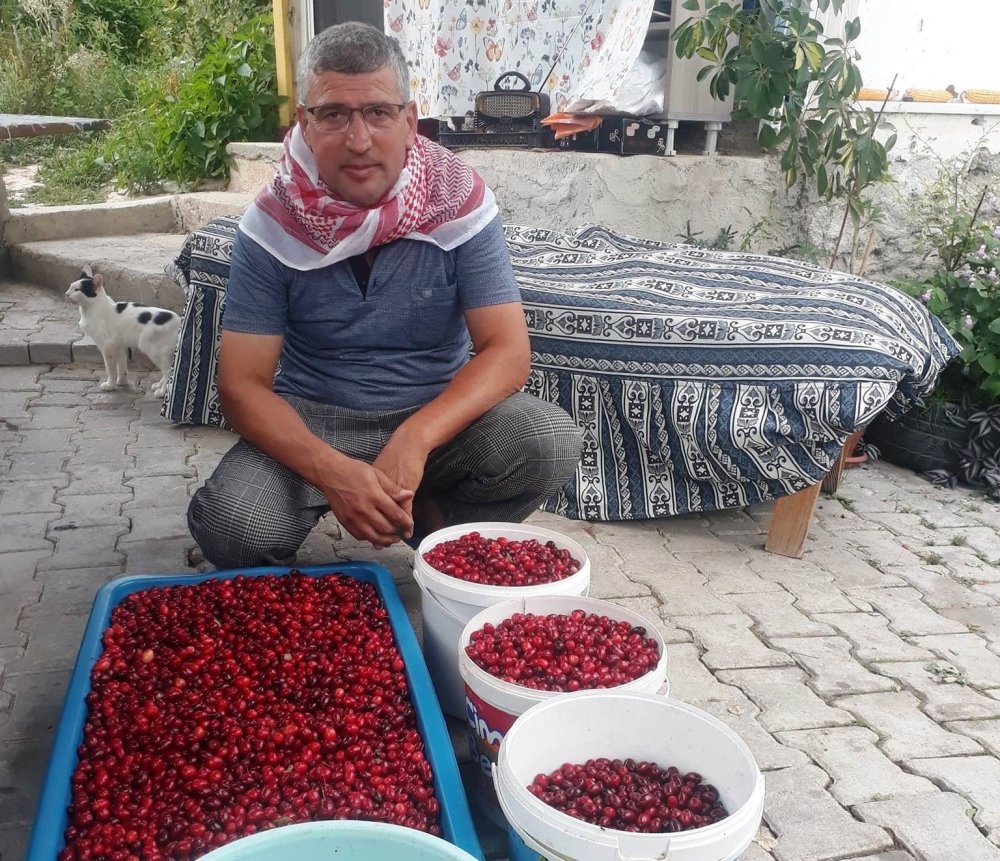 Hisarcık’ta Kızılcık Üretimi Düştü, Fiyatlar İkiye Katlandı