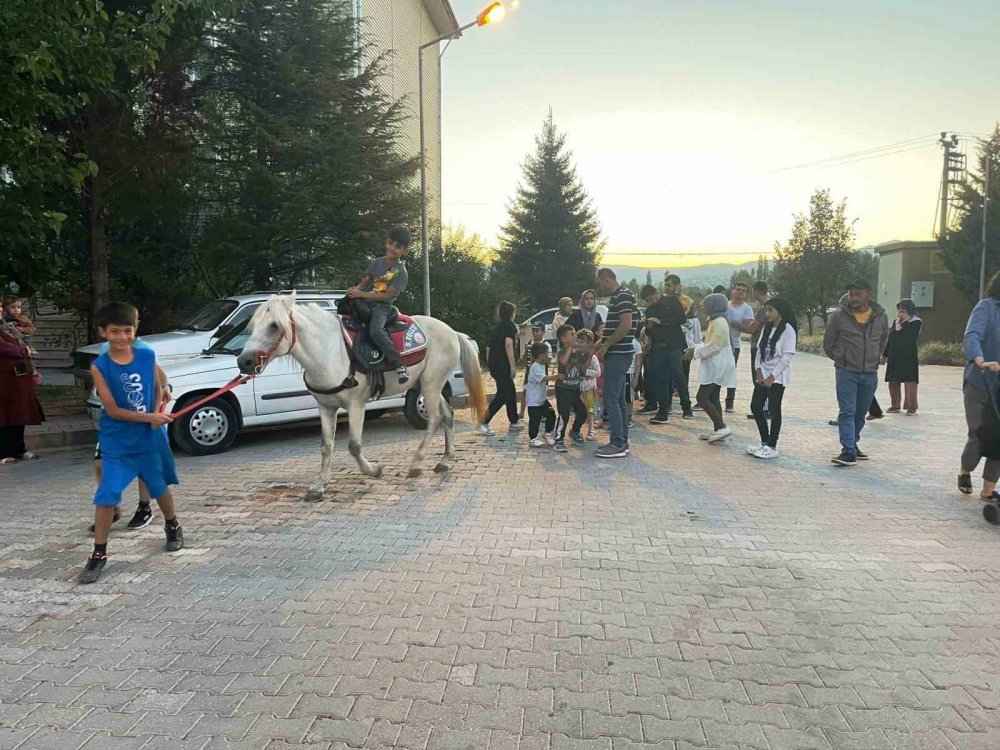 Çocukların At Sevgisi