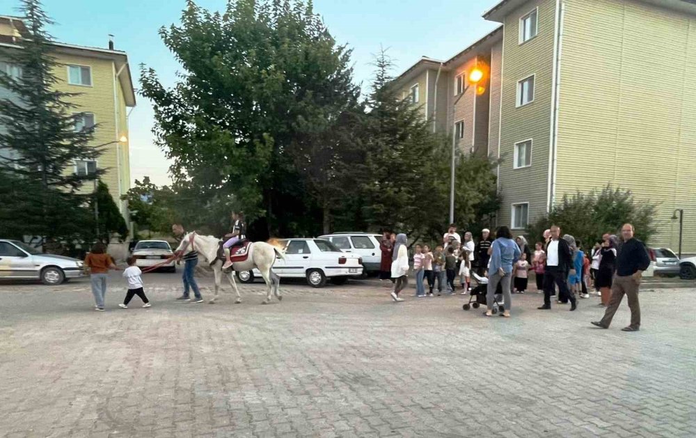 Çocukların At Sevgisi