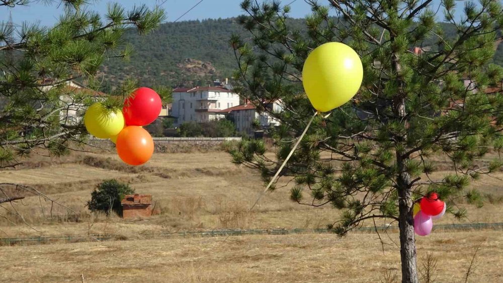 İlginç Bir Sürpriz