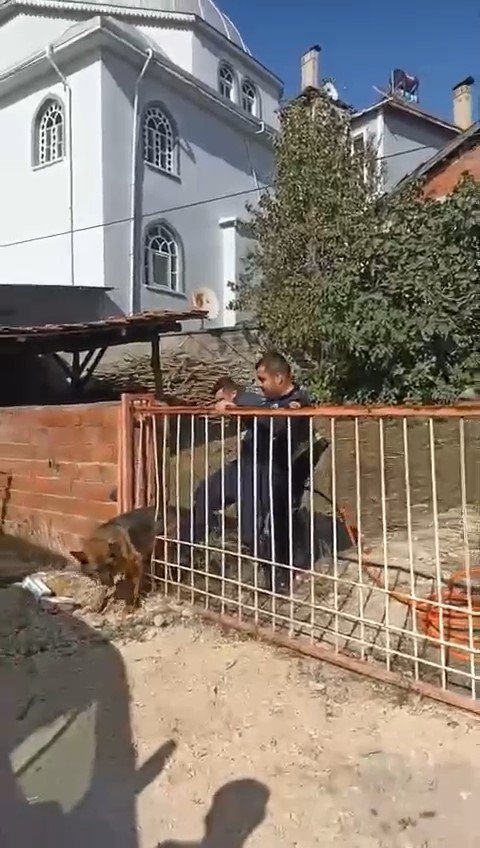 Demir Kapıya Sıkışan Köpeği İtfaiye Kurtardı