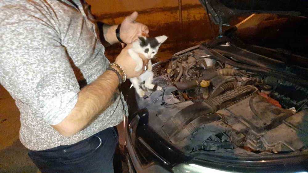 Uygulamada Durdurdukları Otomobilin Motorundan Kedi Kurtardılar