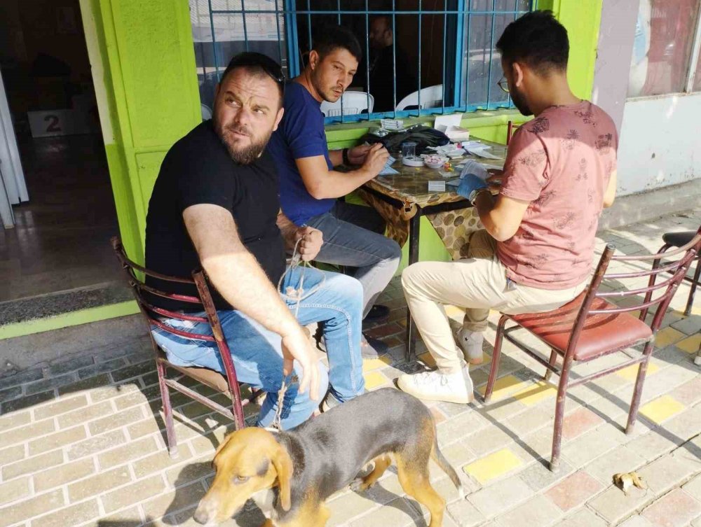 100 Av Köpeği Çiplendi