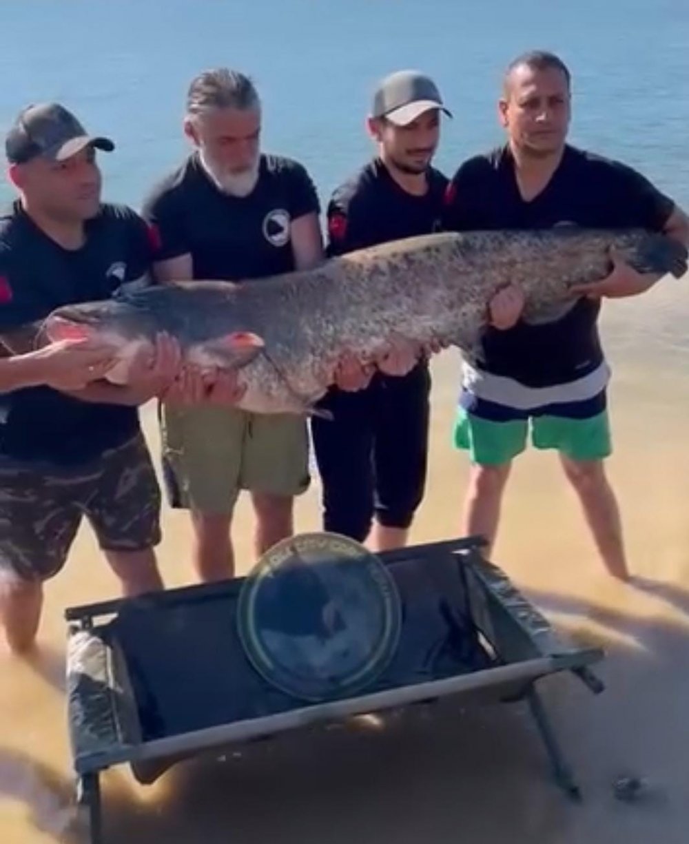 48 Kilogram Ağırlığında Yayın Balığı Yakaladı