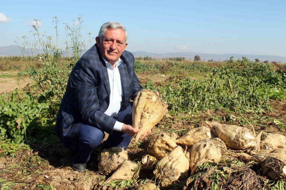 Çiftçi Pancar Şekeri Fiyatından Memnun Değil