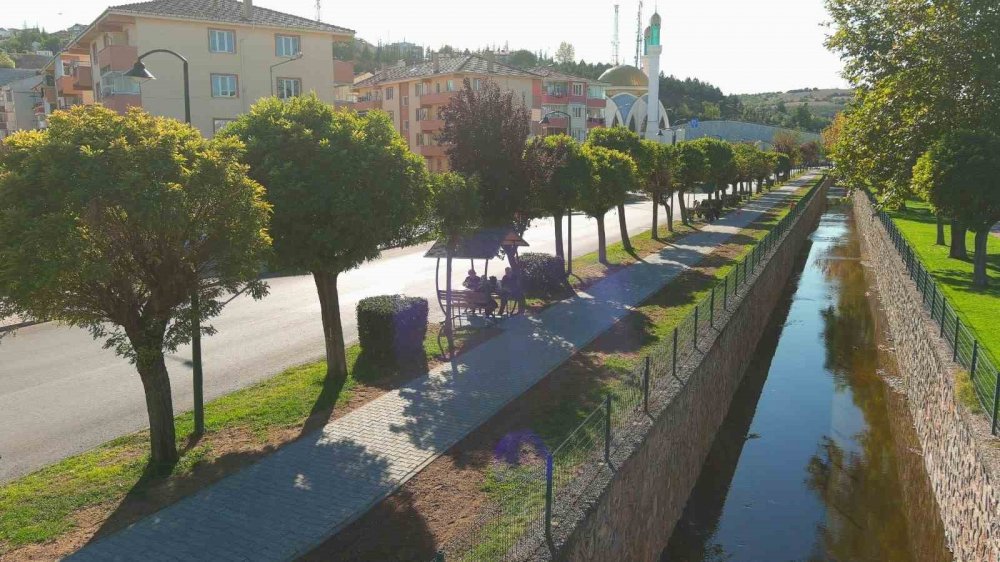 Kanal Boyuna Yeni Yürüyüş Yolu Ve Kamelyalar