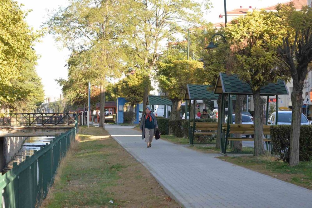 Kanal Boyuna Yeni Yürüyüş Yolu Ve Kamelyalar
