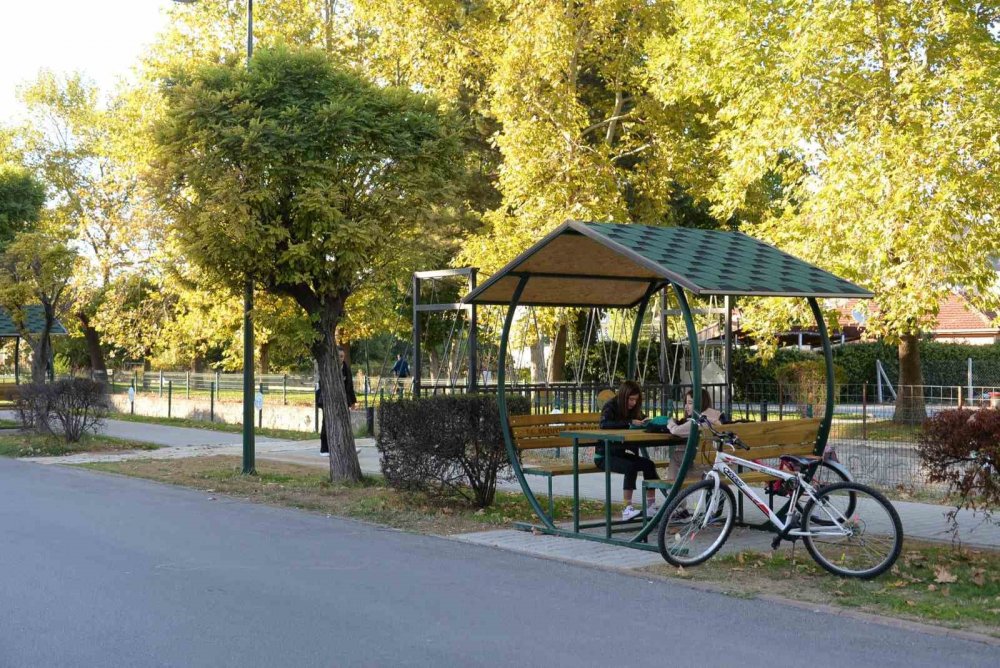 Kanal Boyuna Yeni Yürüyüş Yolu Ve Kamelyalar