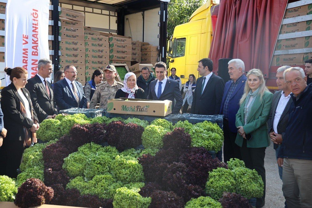 2 Milyon 900 Bin Marul Fidesi Dağıtımı Yapıldı
