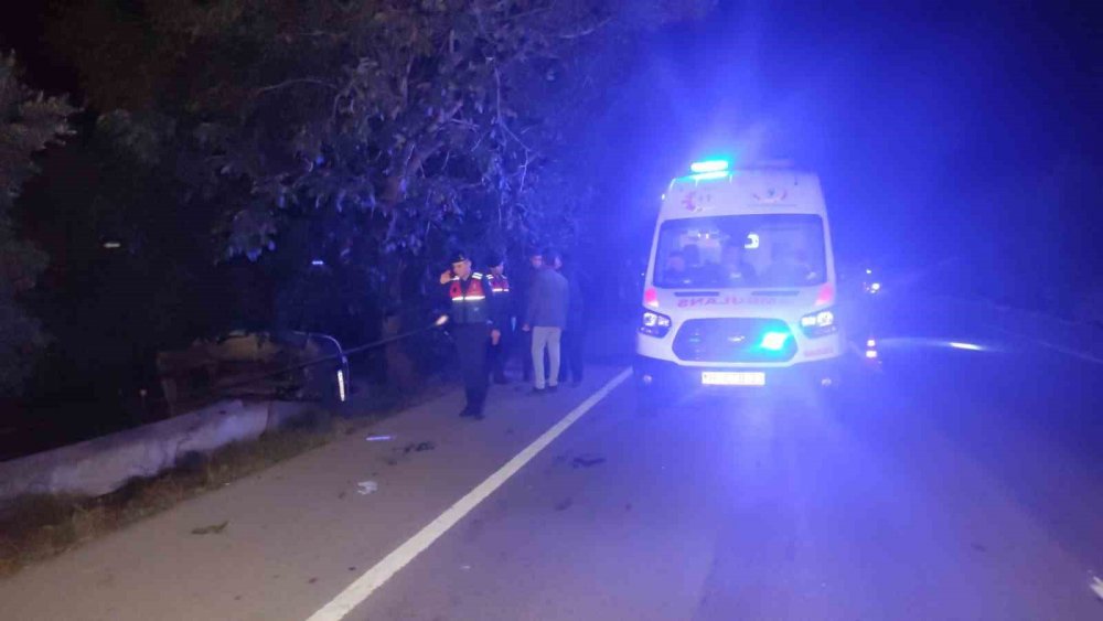 Yola Fırlayan Domuza Çarpan Araç Zeytinliğe Uçtu: 2 Ölü