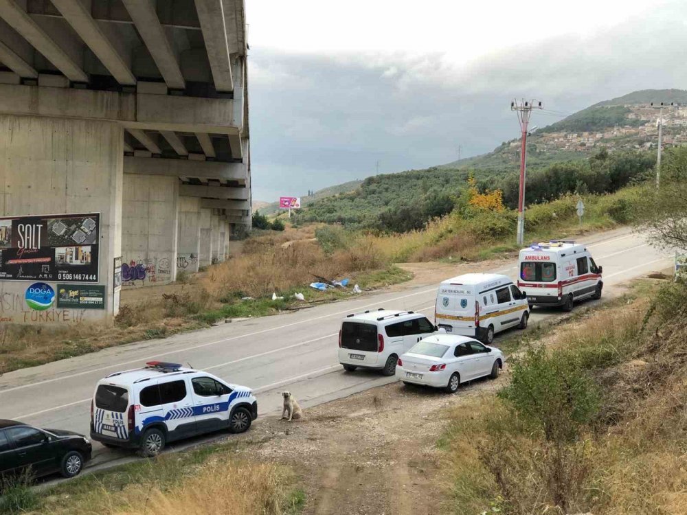 Zeytinlikte Kadın Cesedi Bulundu