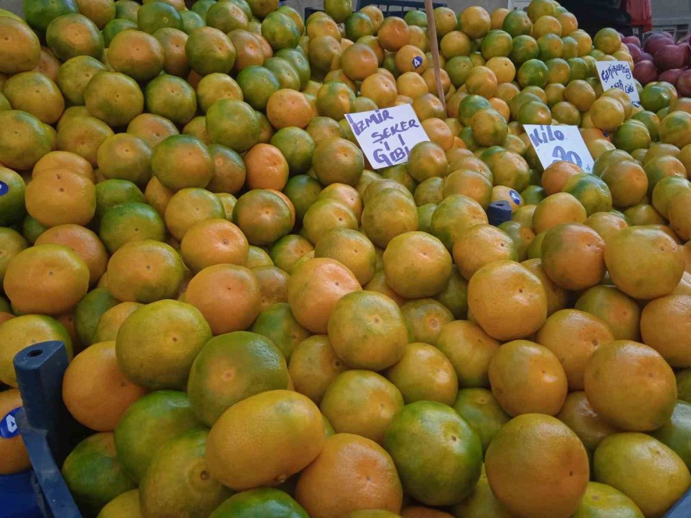 Mandalina Satışından Beklentisi Yüksek