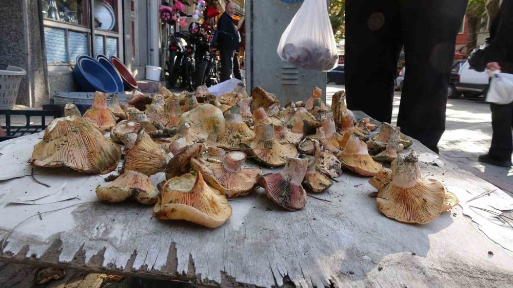 ’Toplaması Zahmetli Yemesi Lezzetli Mantar’ İçin Pazar Kuruldu