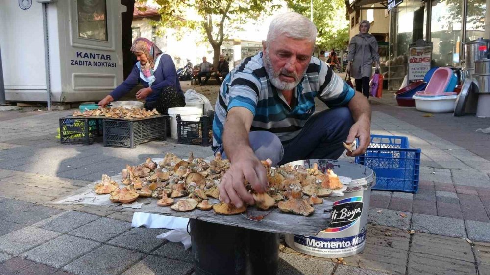 ’Toplaması Zahmetli Yemesi Lezzetli Mantar’ İçin Pazar Kuruldu