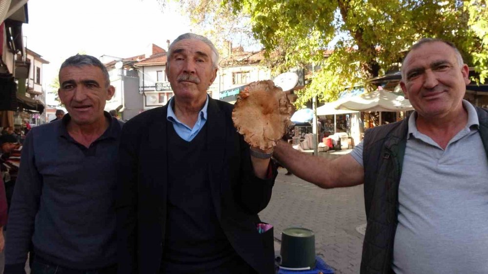 ’Toplaması Zahmetli Yemesi Lezzetli Mantar’ İçin Pazar Kuruldu