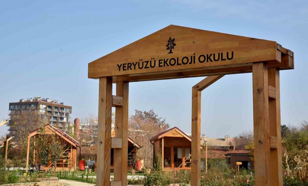 Yeryüzü Ekoloji Okulu Kasım Atölyeleri Başlıyor