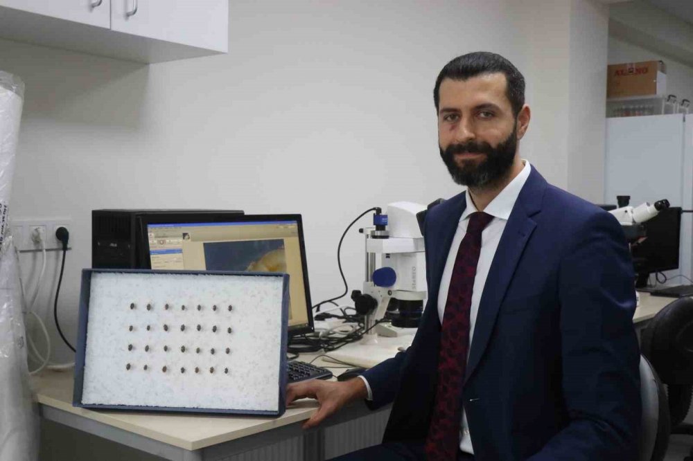 2 Santimlik Boyuyla Tarım Ekonomisini Tehdit Ediyor