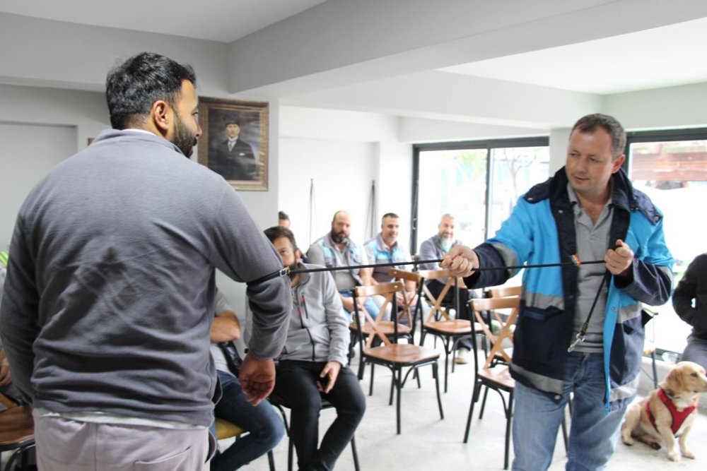 Sürü Halinde Dolaşan Sokak Köpeklerinden Korunma Tüyoları